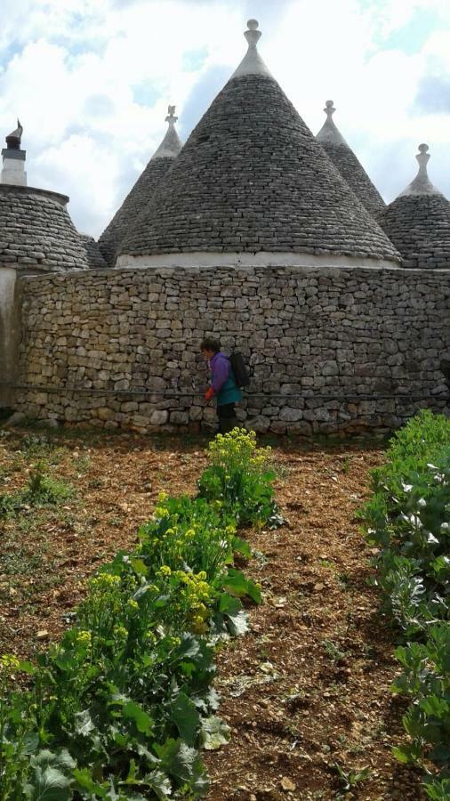 Trulli Di Nonna Palma Vila Locorotondo Exterior foto